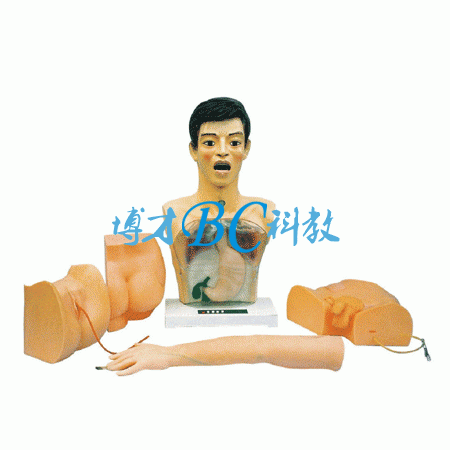 基礎護理實習操作模型