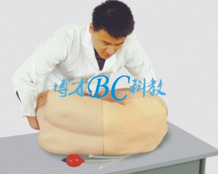 腰椎穿刺訓練模型
